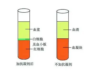 血清和血浆的区别-北京科瑞美科技有限公司