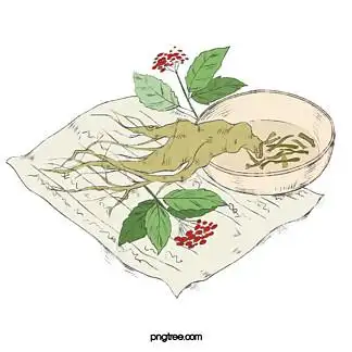 【人参人参卡通】图片免费下载_人参人参卡通素材_人参人参卡通模板