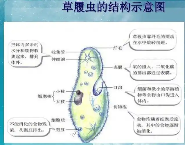 470胡曦月的美篇
