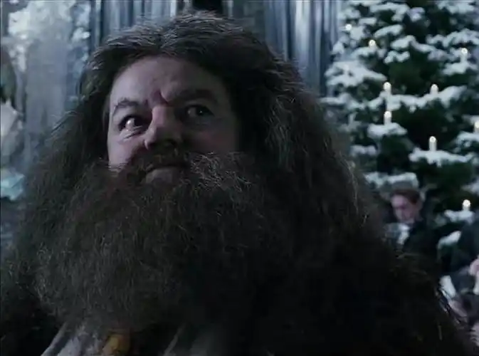 哈利波特系列hagrid海格5月再更吧