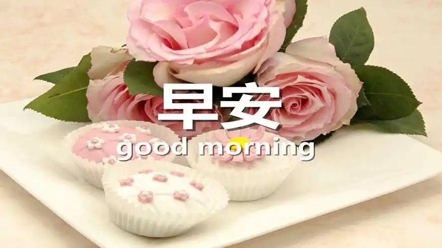 唯美意境,早上好,清新,唯美,早上,早安,电脑壁纸,壁纸早晨问候语图片