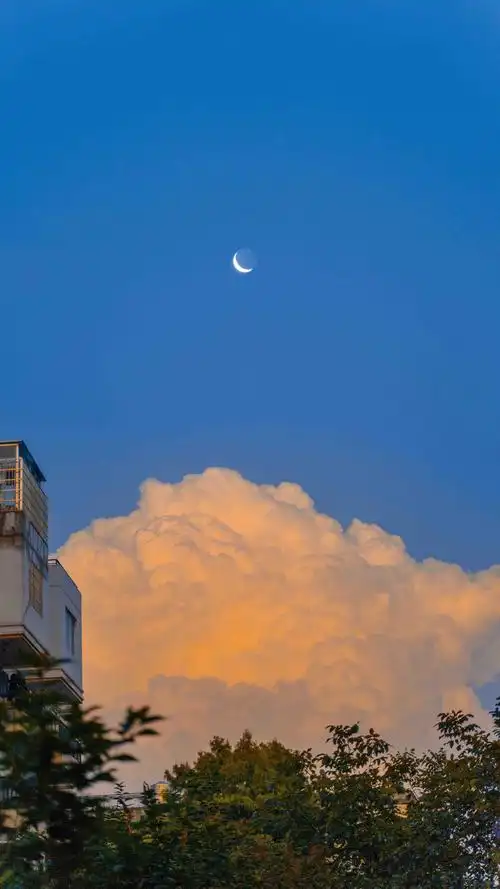 > 图库 > 清新唯美治愈系自然风光 高清显示 最佳查看 好的,裁切吧!