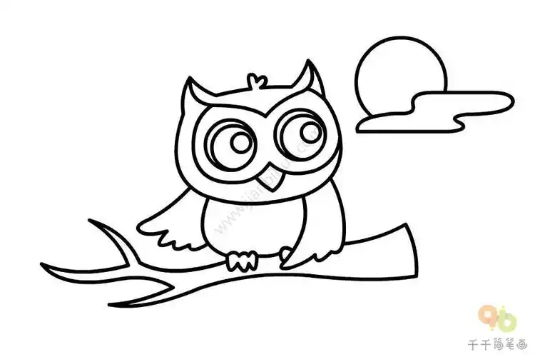 猫头鹰简笔画图片画法