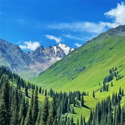 唯美治愈高级大自然风景头像图片 治愈系很有意境的图片头像2022