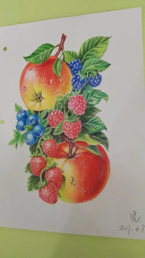 我爱彩铅画 | 优秀学员作品展(第二期)