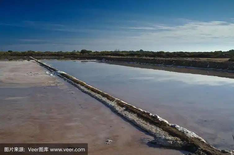 干盐蒸发池