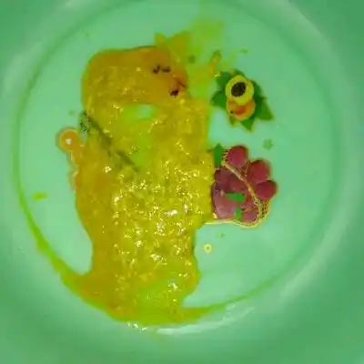 六个多月宝宝拉蛋花粑粑是怎么了