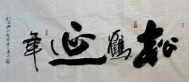 谭华书法作品欣赏(十八)