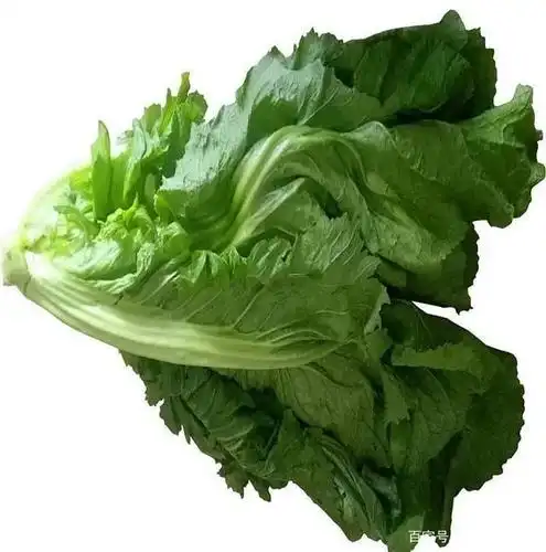 【产品配方】 大叶芥菜100kg