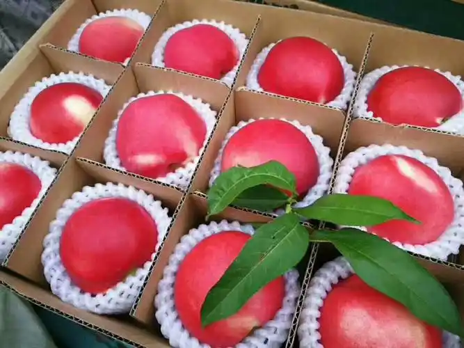 我们平谷大桃已经形成一种地域文化,形成自己的独特品牌.