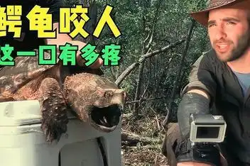 实拍:断头鳄鱼死而复生突然张嘴想咬人_百度视频搜索