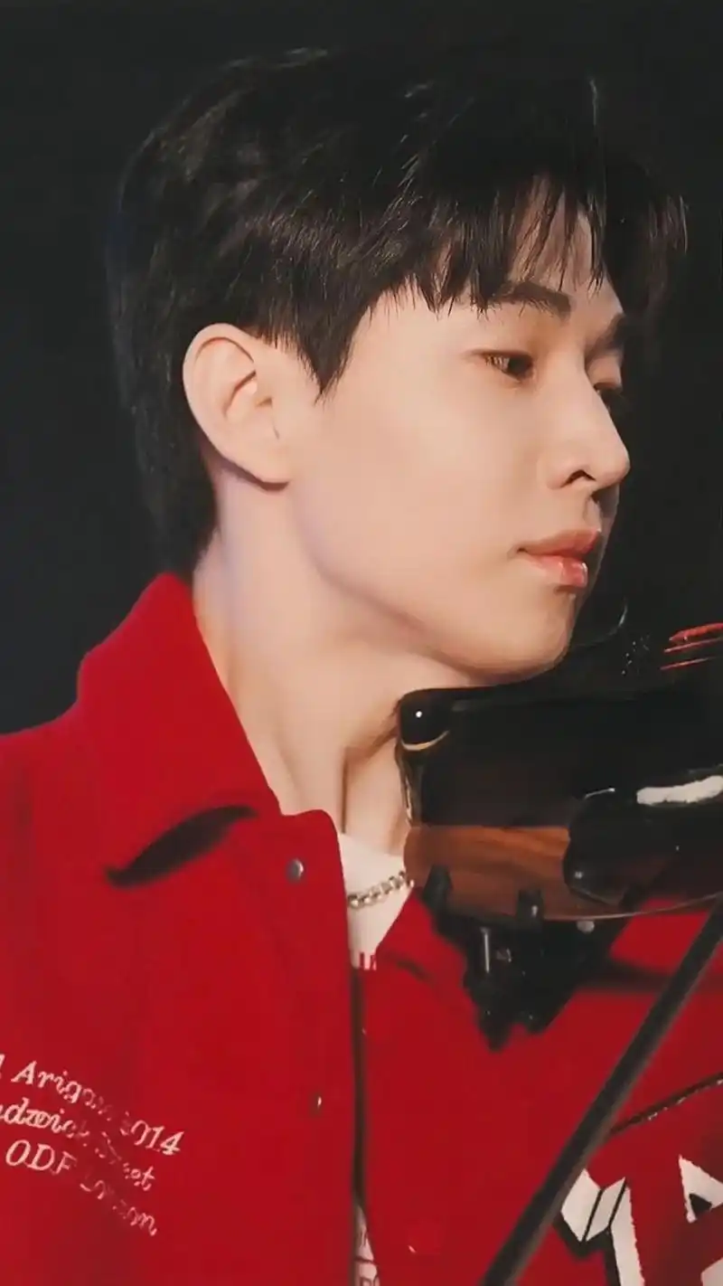 被他拉小提琴的样子帅到了.#刘宪华卡农@刘宪华henry - 抖音