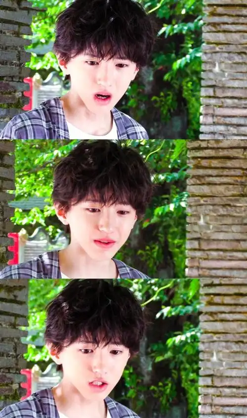 成员,隶属于杰尼斯事务所图cr.四时朝暮