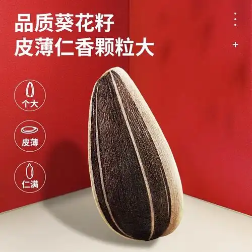 洽洽香瓜子308g袋装 五香瓜子葵花籽坚果炒货追剧休闲零食恰恰瓜子 -