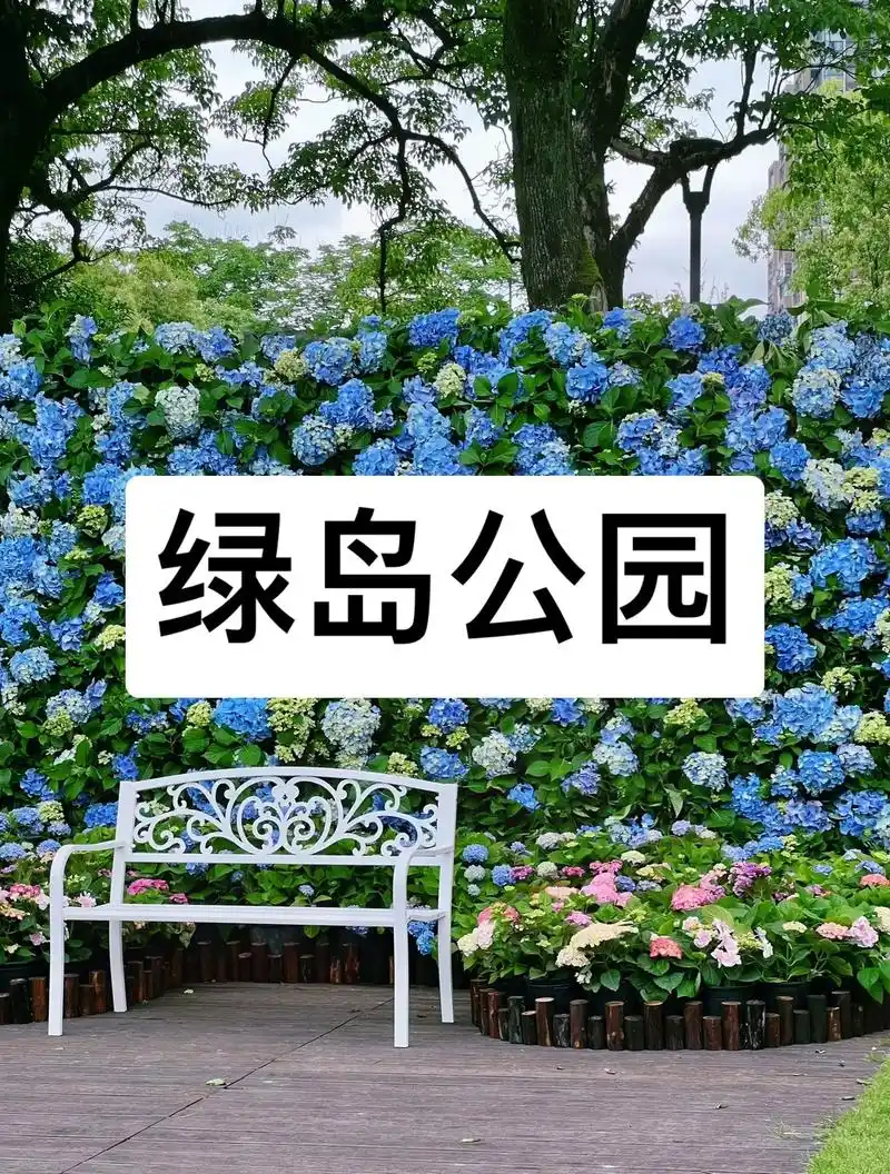 绿岛公园:绣球花开无尽夏.#图文热点来了 初夏的浪漫应该是无 - 抖音