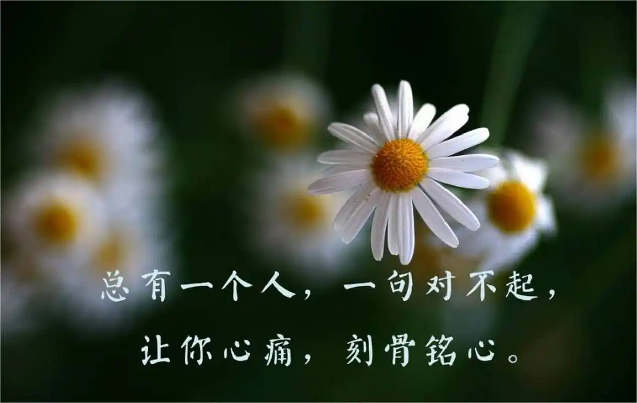 1,当你认为自己一无所有时,你至少还有时间,时间能抚平一切创伤,所以