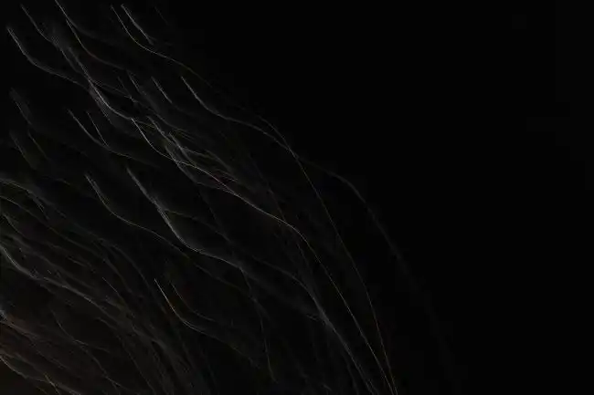 经典纯黑色桌面背景图片