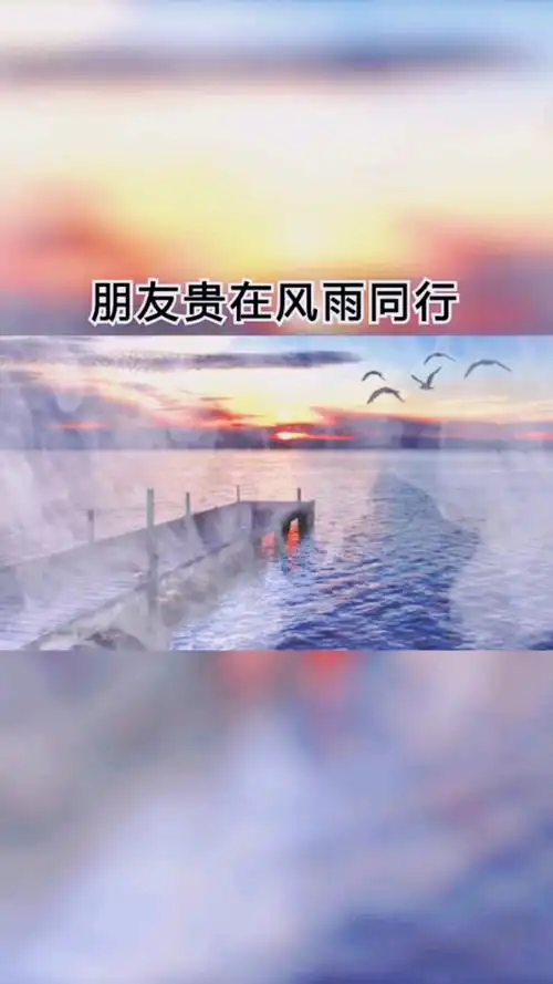 情感故事#朋友,贵在风雨同行