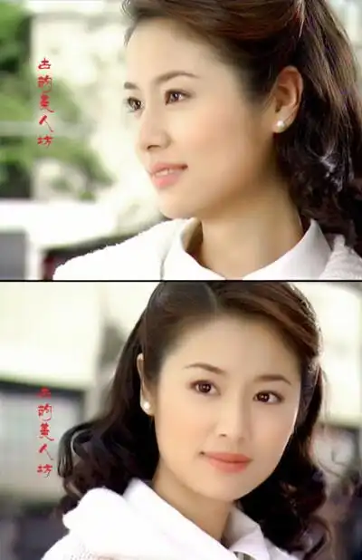 《半生缘》(2003年)顾曼桢.林心如外表文静柔弱,内心善良坚强的女子.