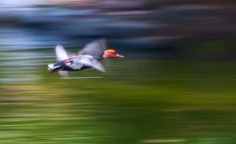 慢门拍摄——学习与分享