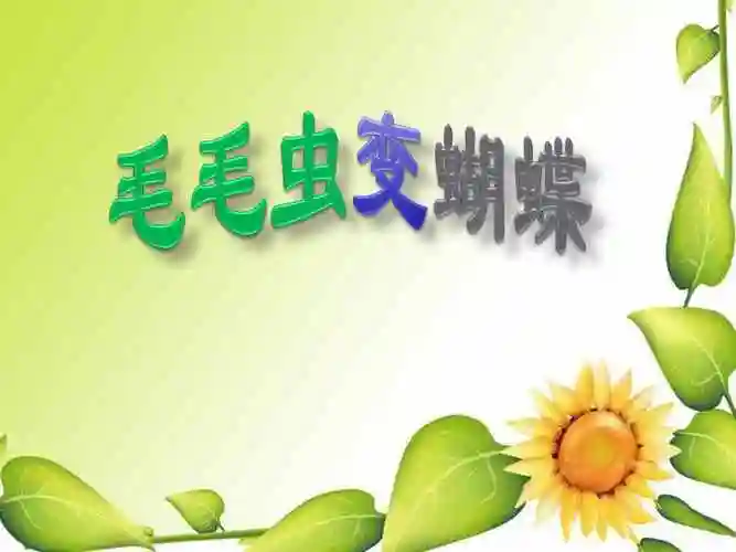 中班科学毛毛虫变蝴蝶1幼儿园ppt课件ppt