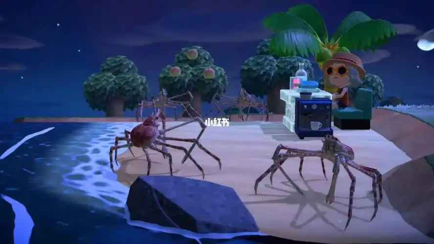 我的高脚蟹小天地,看着大螃蟹,喝点小酒喝咖啡,吃点雪糕～～生活真