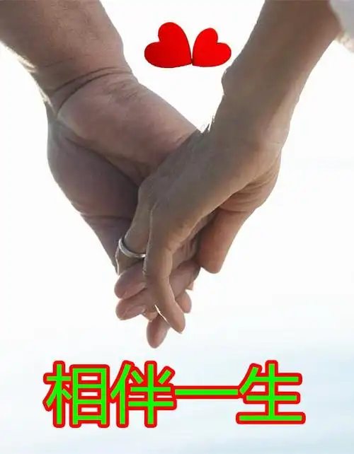 相伴一生