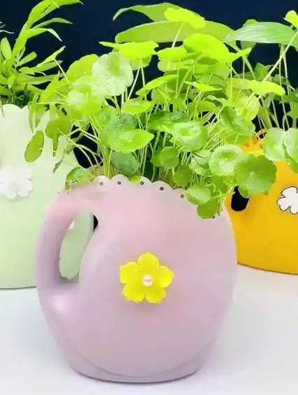 用完的洗衣液瓶利用起来做个花盆吧,养一盆自己喜欢的花草-度小视