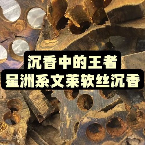 文莱奇楠沉香结香老料星洲系熏香料原木块碎料真品纯天然中药材