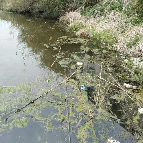 钓点发现黑鱼窝,临阵磨枪学打黑