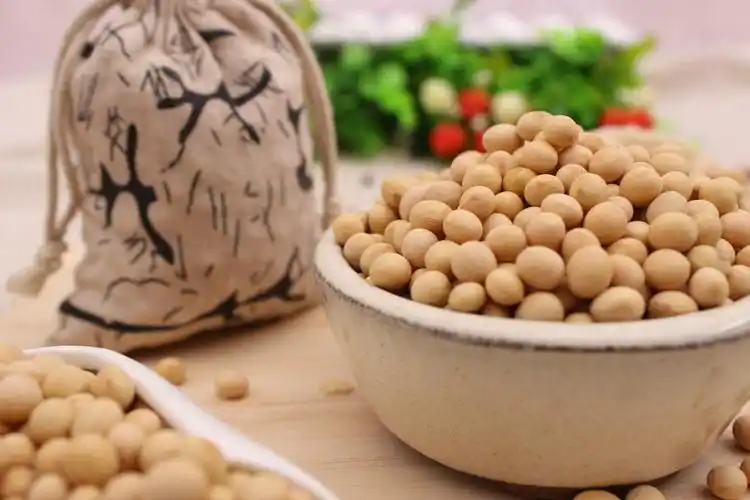 黄豆,豆腐,黄豆芽本是同根生, 功效却有不同!