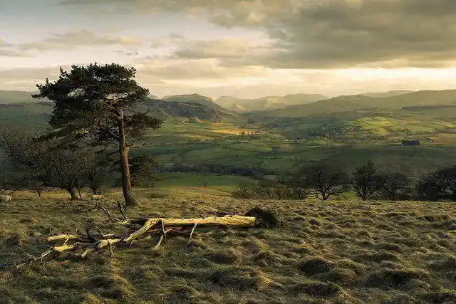 mark little的美丽风光摄影作品