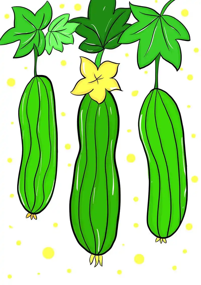 美味的蔬菜丝瓜简笔画教程,一学就会的丝瓜简笔画, - 抖音