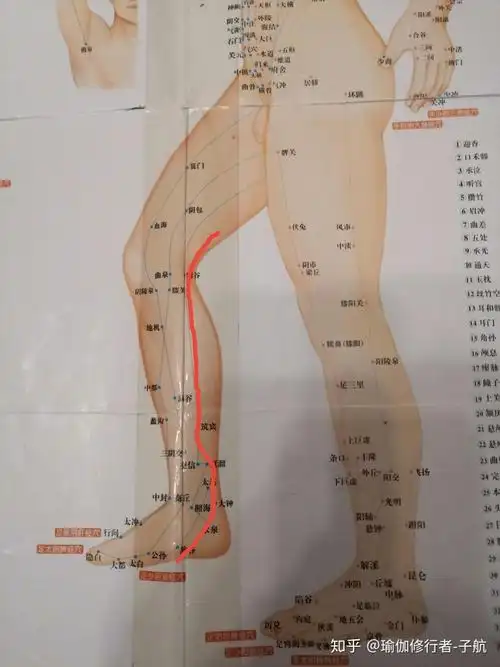 我瑜伽所觉知到的几个层次