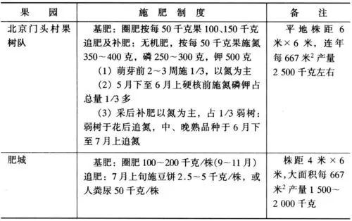 如何确定桃树的施肥量?