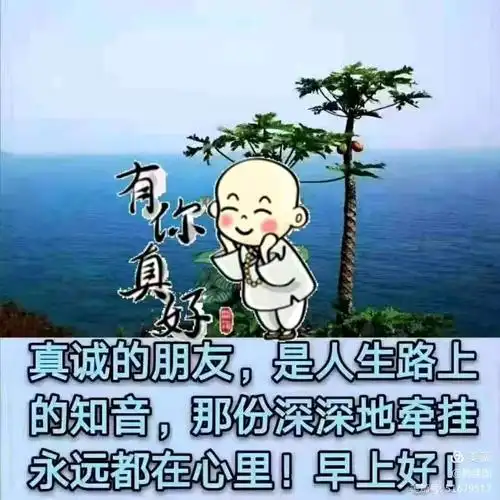 朋友你好吗一一问候语集锦五