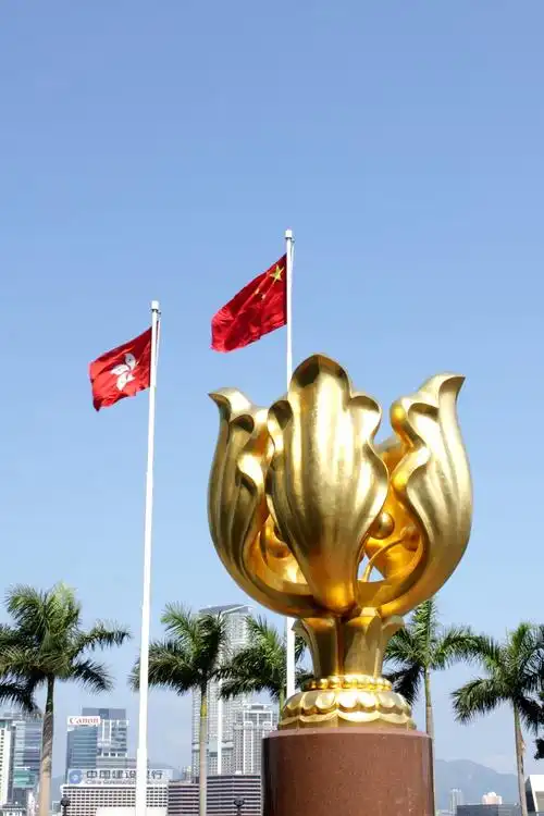 香港紫荆花(香港紫荆花雕塑)