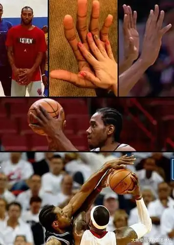 当然,这并不是nba的第一巨掌,字母哥的手掌长度达到了30.
