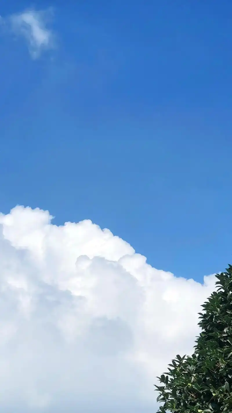 背景 壁纸 风景 天空 桌面 1440_2558 竖版 竖屏 手机