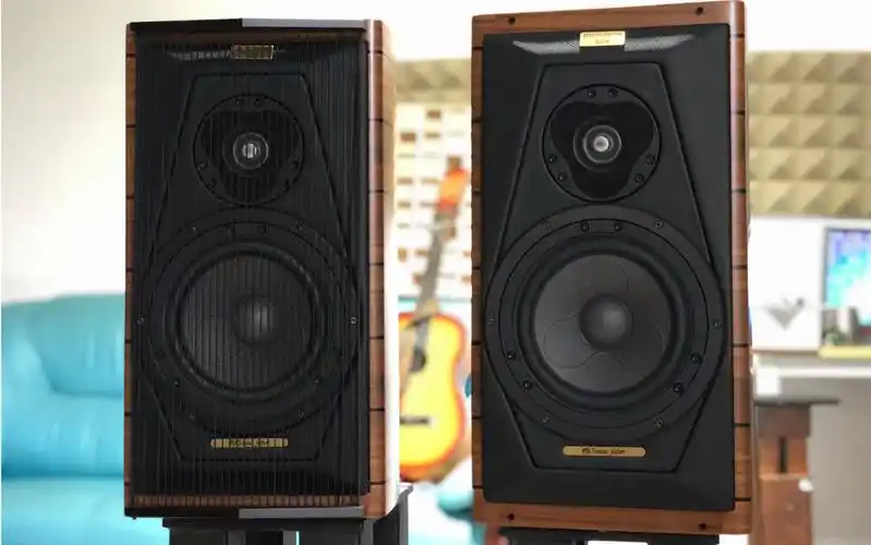 绅士宝 音箱 优秀分频器才能有高频的空气感 古典 小提琴 录制