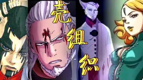 壳组织人员能力大盘点