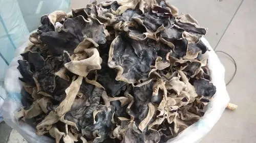 水发木耳,头茬,山东