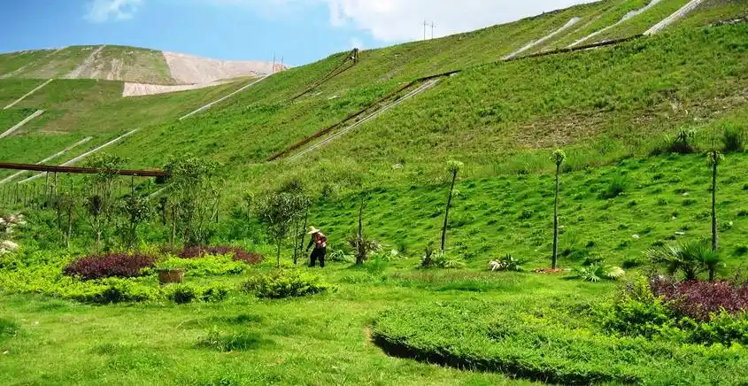 固废拆解垃圾对土壤污染的修复技术