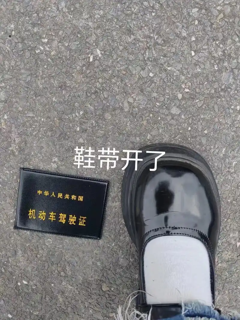 喜提驾驶证表情包 - 抖音