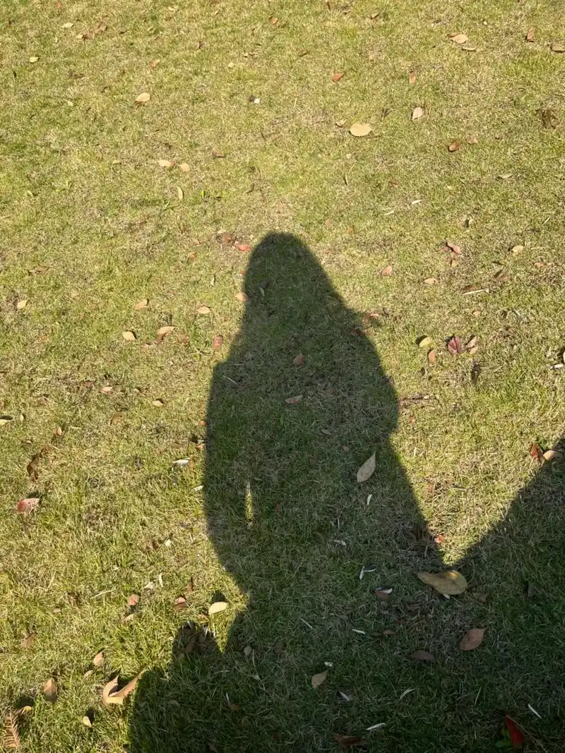 心情真是烦透了,找个没人的地方一个人坐在这里晒晒太阳身体和心 - 抖