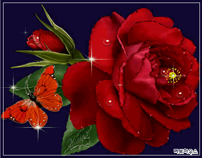 400_313gif 动态图 动图