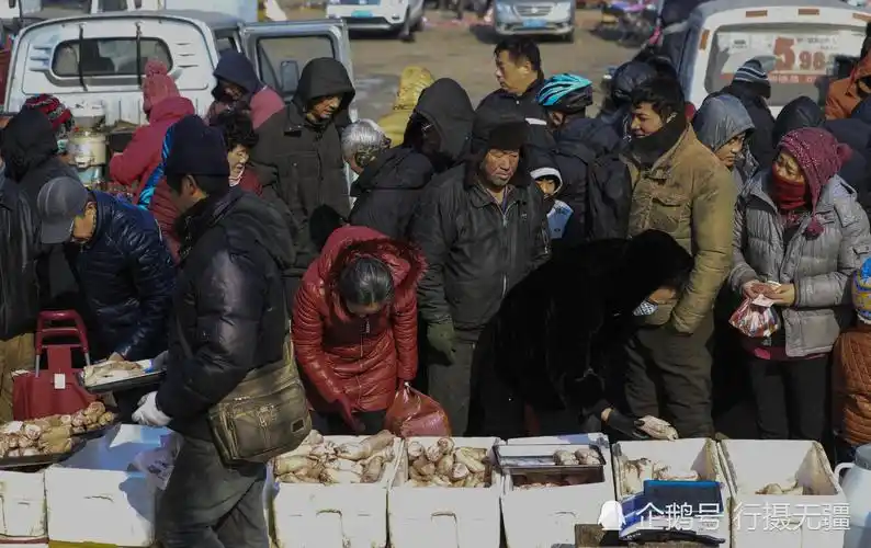 沈阳百年农村大集火爆如春运 年前再现采购潮