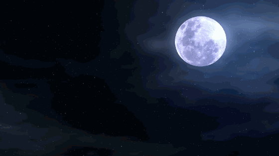 560_314gif 动态图 动图