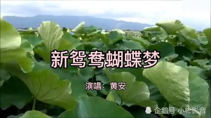 黄安《新鸳鸯蝴蝶梦》九十年代的经典金曲