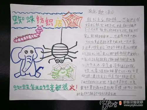 描写蜘蛛的习性外貌手抄报 手抄报简单又漂亮